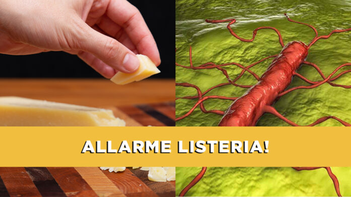 formaggio allarme listeria europa