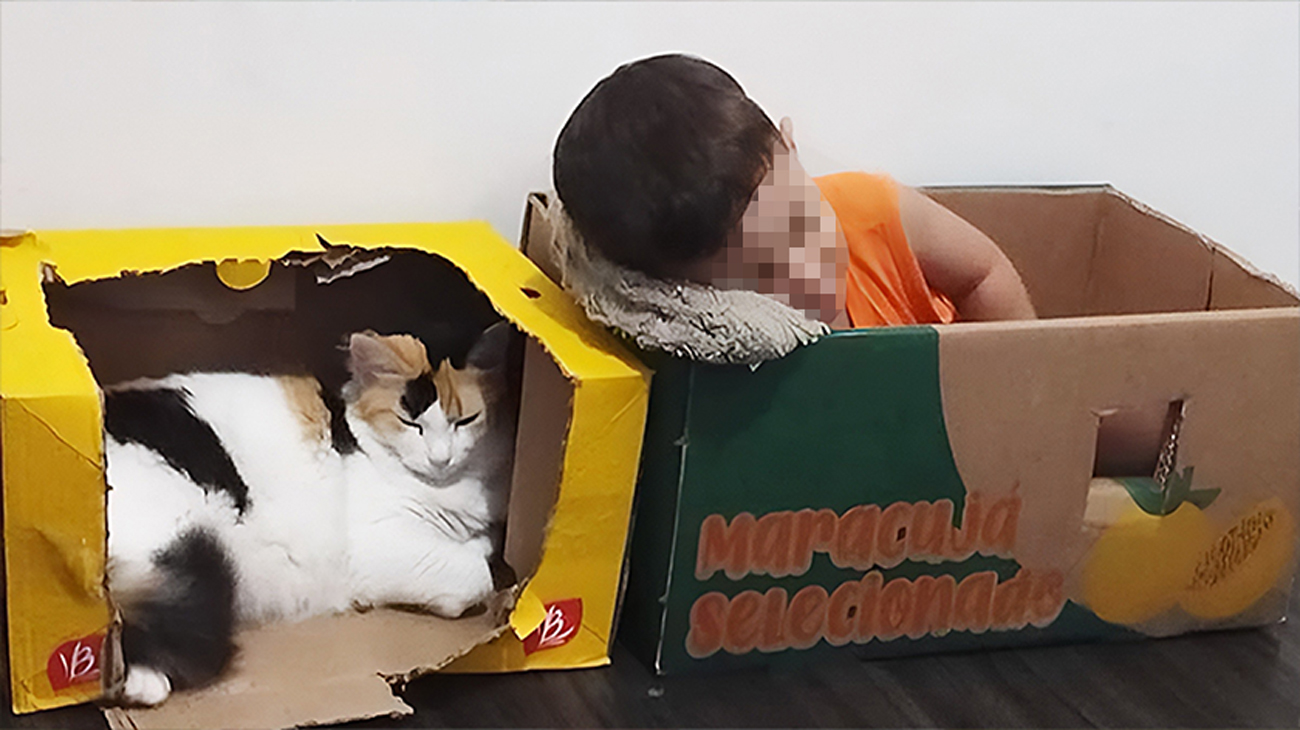 Il bimbo dorme in una scatola per stare insieme al suo gatto