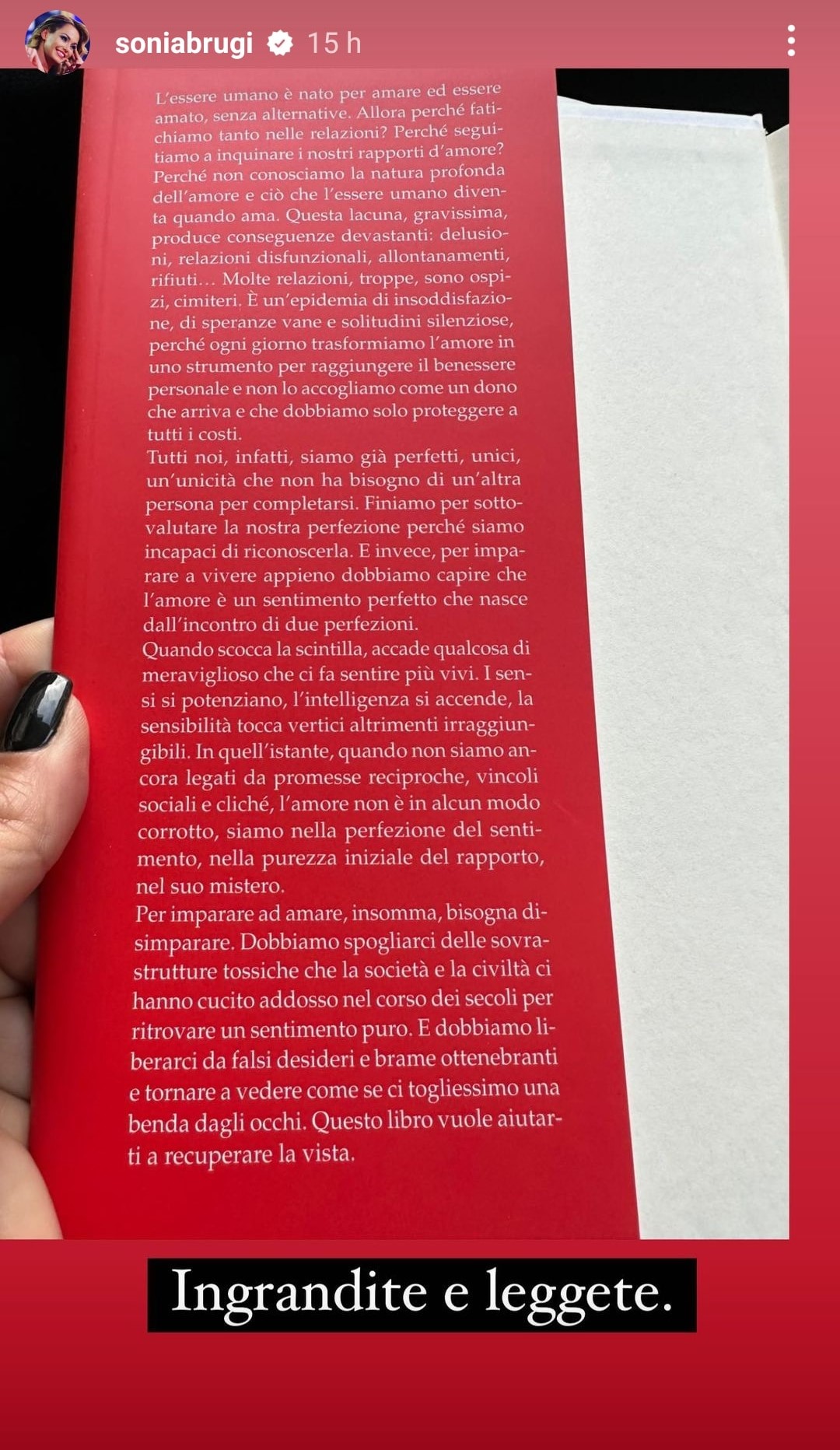 La Storia postata da Sonia Bruganelli sul concetto di amore. Fonte: soniabrugi - Instagram
