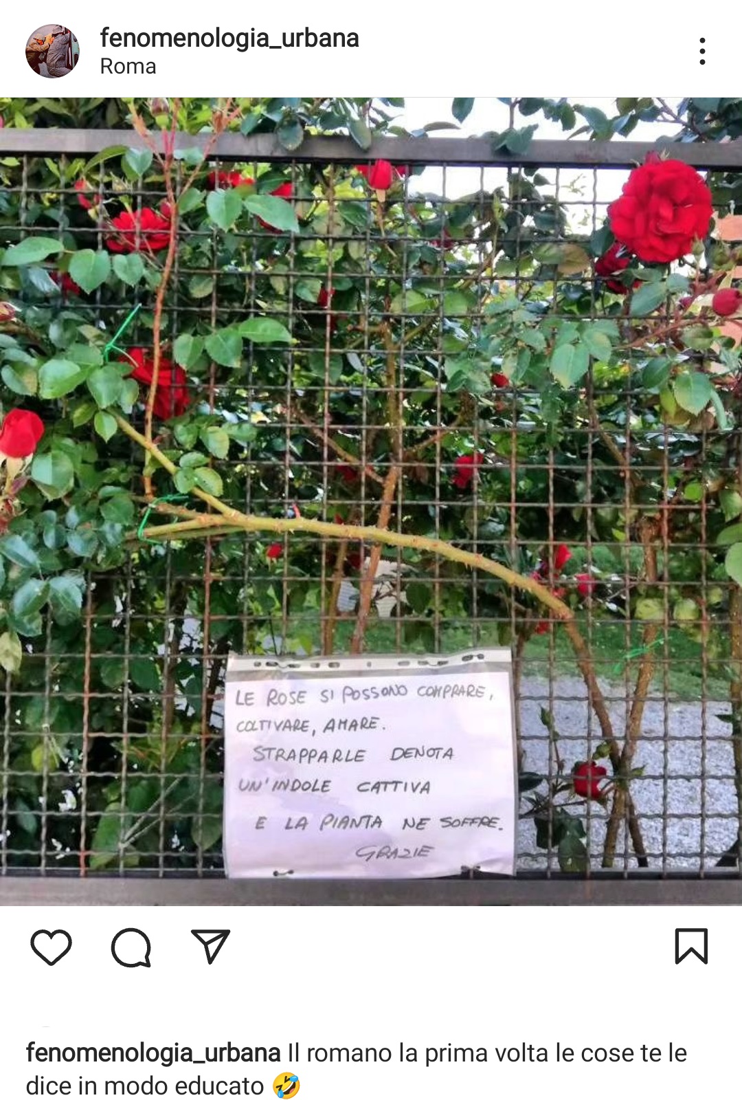 Da Roma, il cartello senza offese contro chi strappa le rose senza motivo. Fonte: fenomenologia_urbana - Instagram