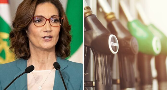 Mariastella Gelmini, senatrice di Azione, ha denunciato il caro benzina sulla rete autostradale e ha lanciato una domanda provocatoria al governo Meloni.