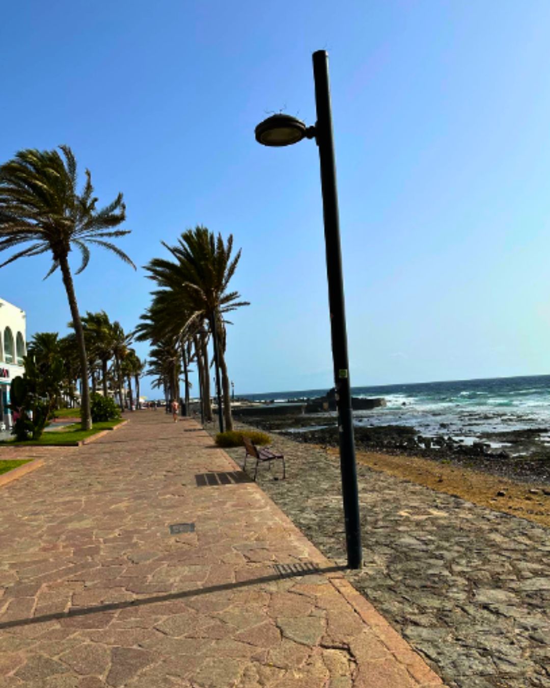 Canarie