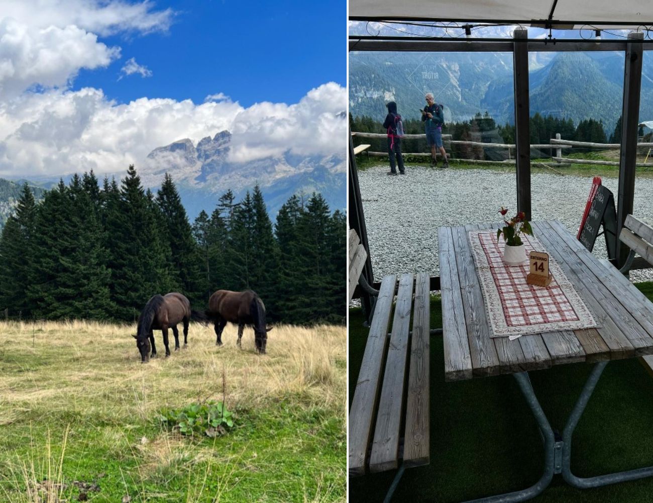 Trentino Alto-Adige