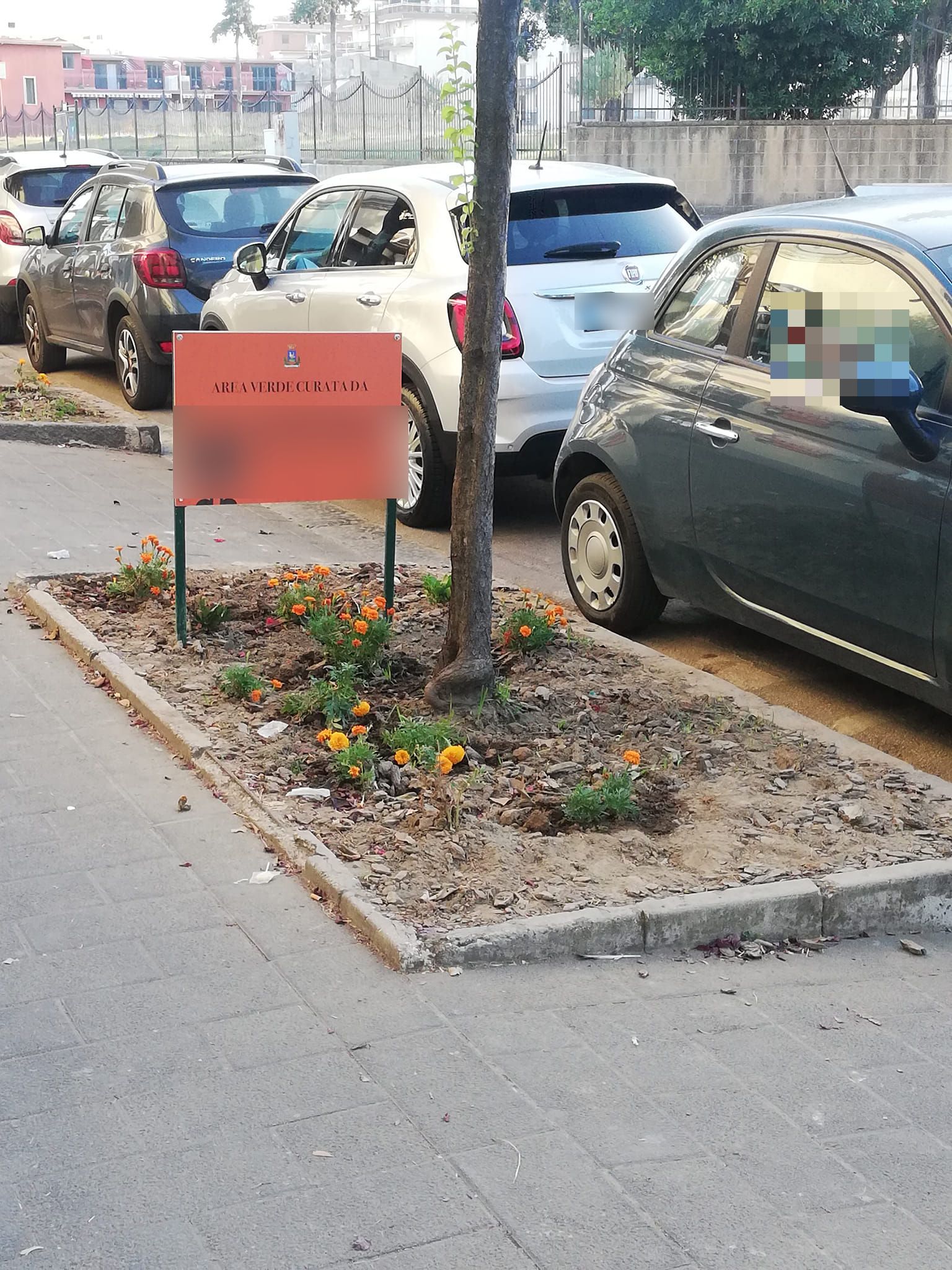 Campania: il bar gestisce un'aiuola per farsi pubblicità, ma il risultato è disastroso.