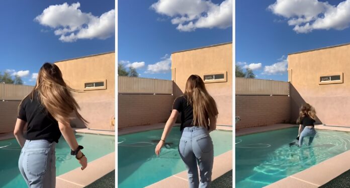 cane piscina
