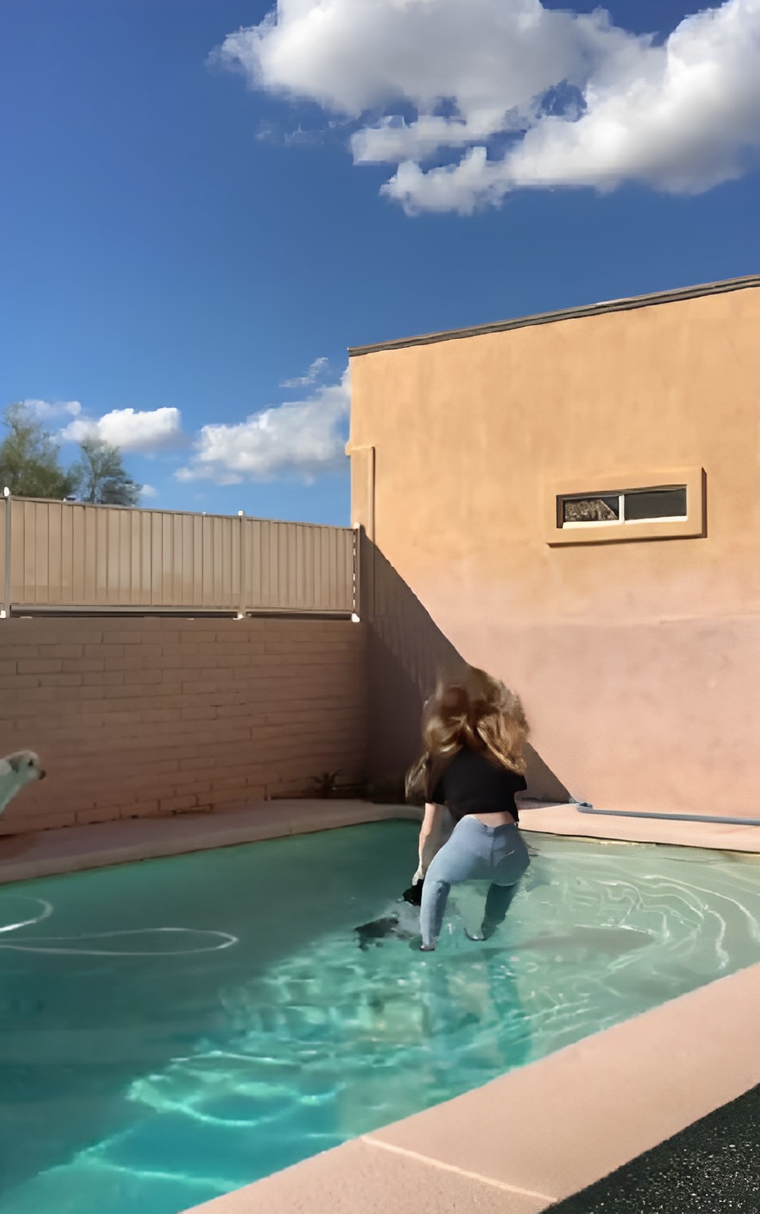 cane piscina