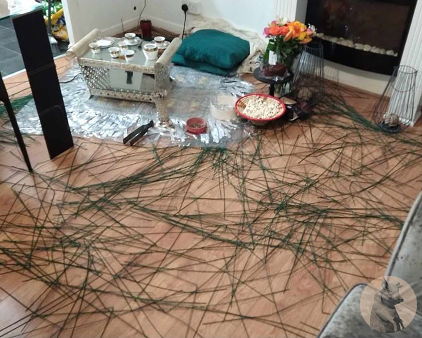 Convivenze da incubo, coinquilina organizza pic nic in casa e simula l'erba del prato: il risultato è tragicomico