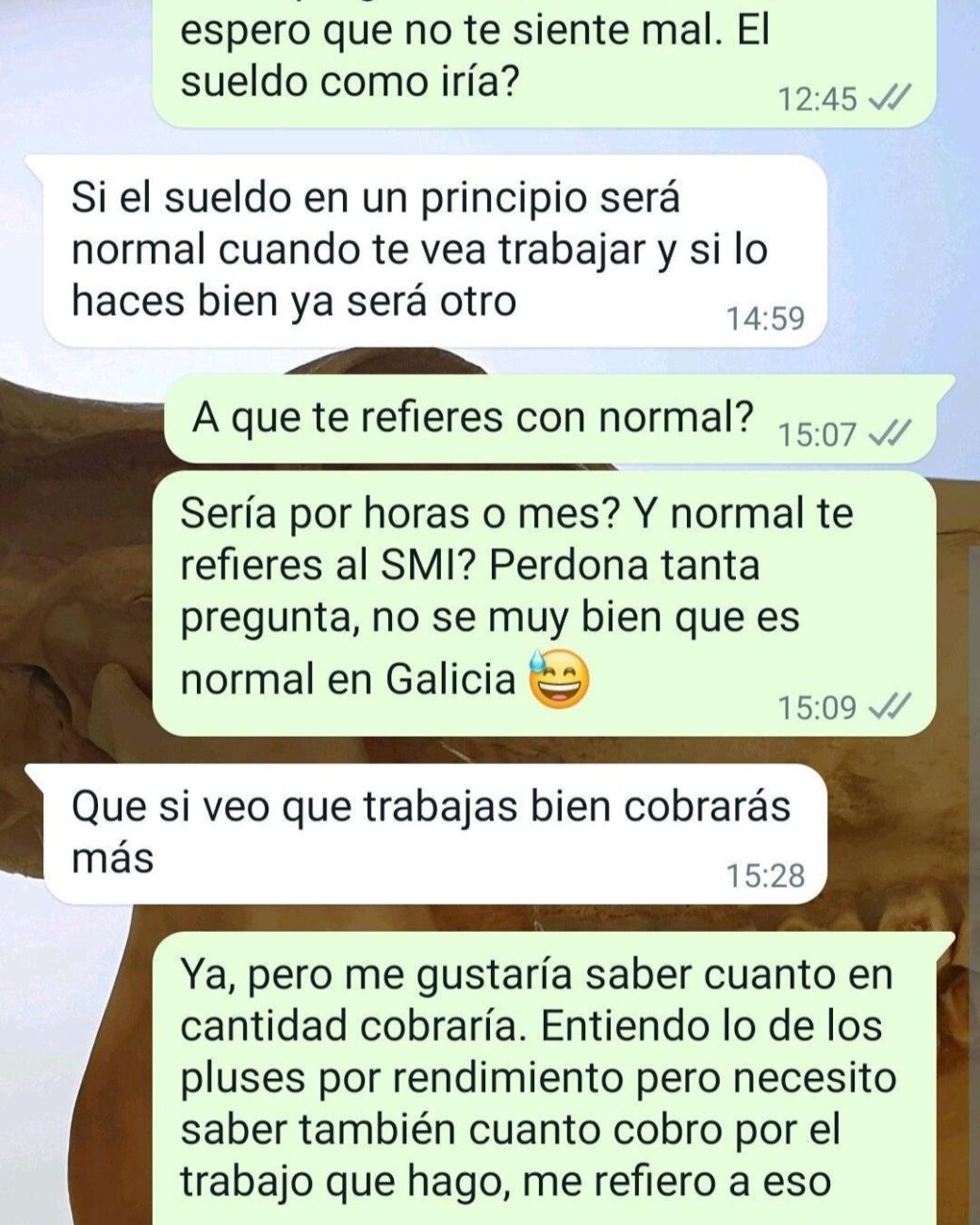 offerta di lavoro cameriere