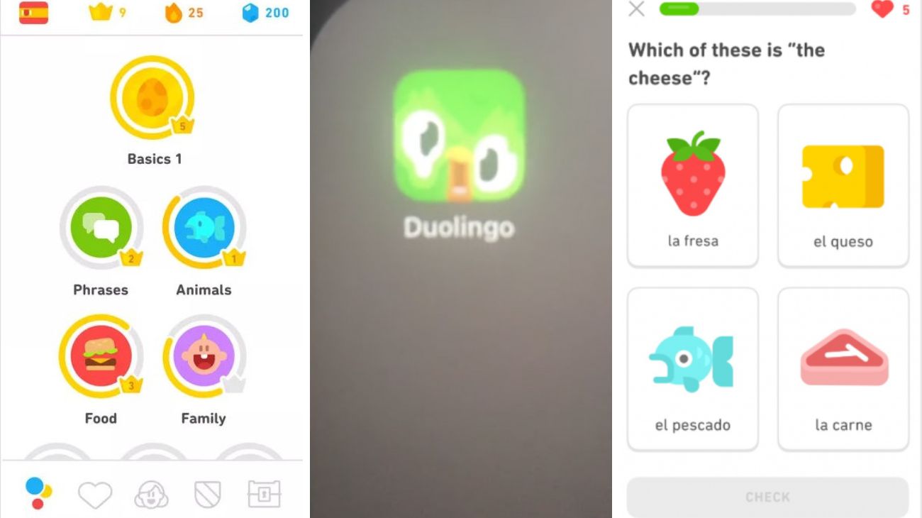 Duolingo si sta sciogliendo! Ecco cosa succede all'app per imparare le lingue