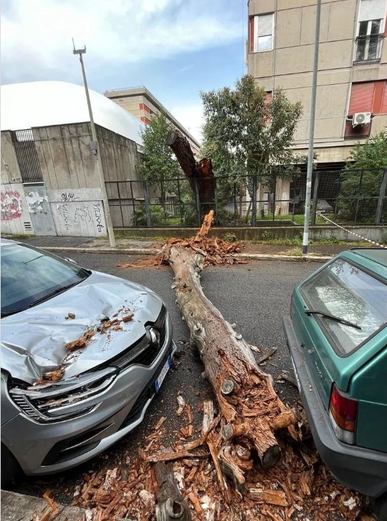 Roma, albero crolla a causa del vento forte e finisce su un auto parcheggiata: "Poteva succedere una tragedia"