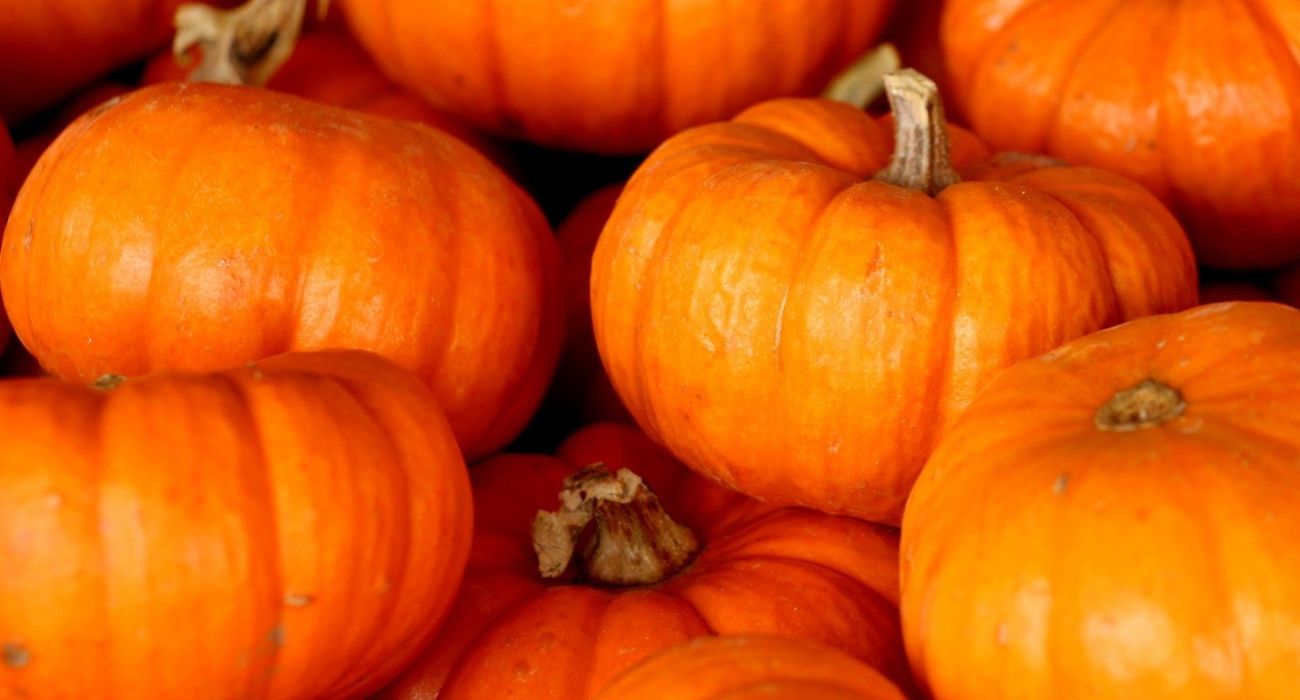 Tagliolini zucca, gorgonzola e nocciole, la ricetta perfetta per un primo piatto cremoso e autunnale