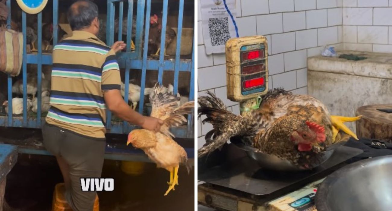 India, turista italiano mostra come si vende il pollo e indigna gli italiani, ma un dettaglio mette a tacere la polemica