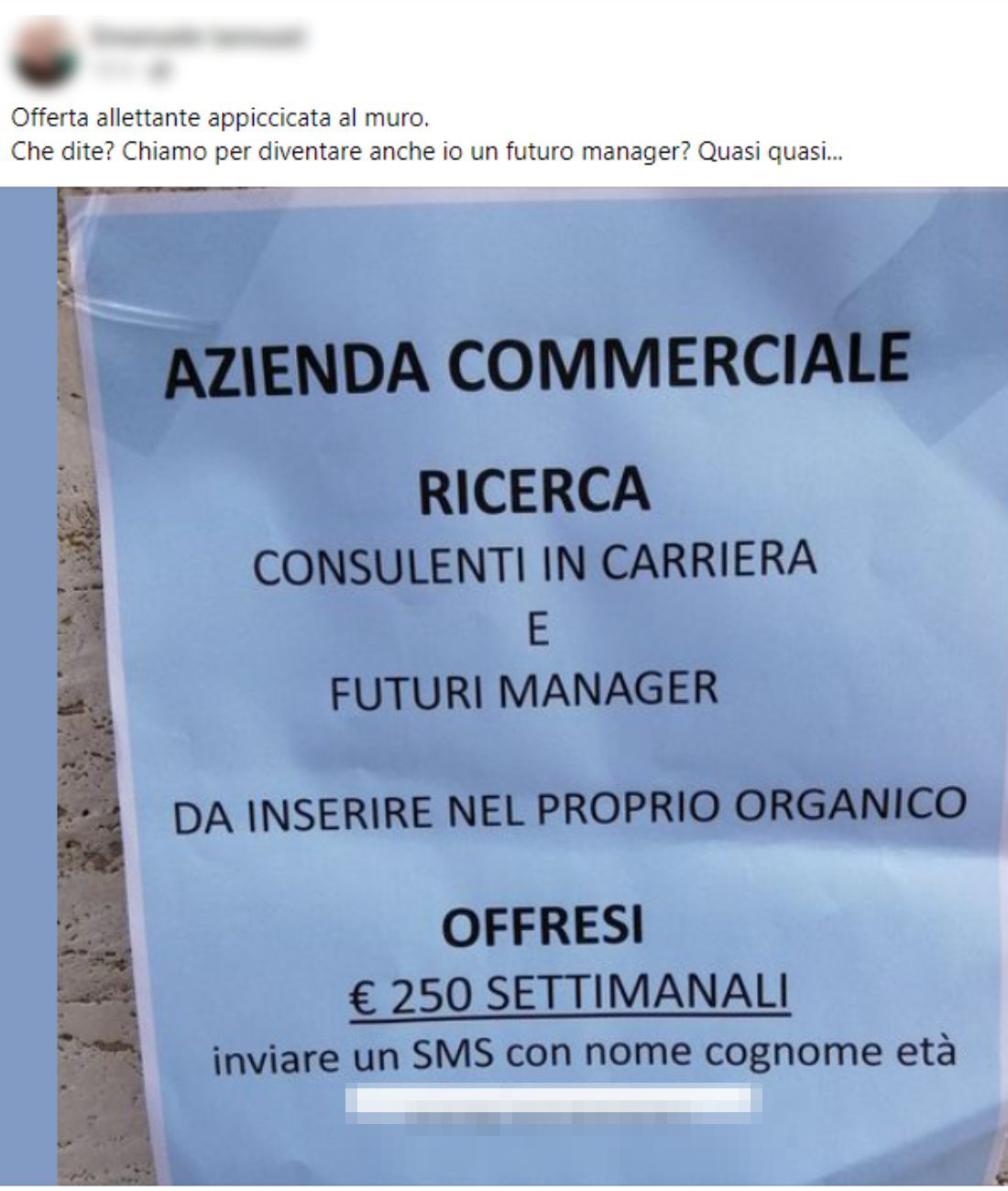 azienda offerta lavoro