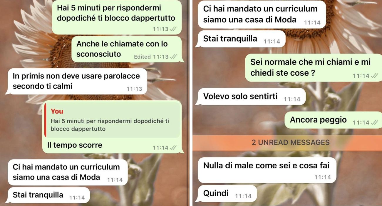 bologna curriculum