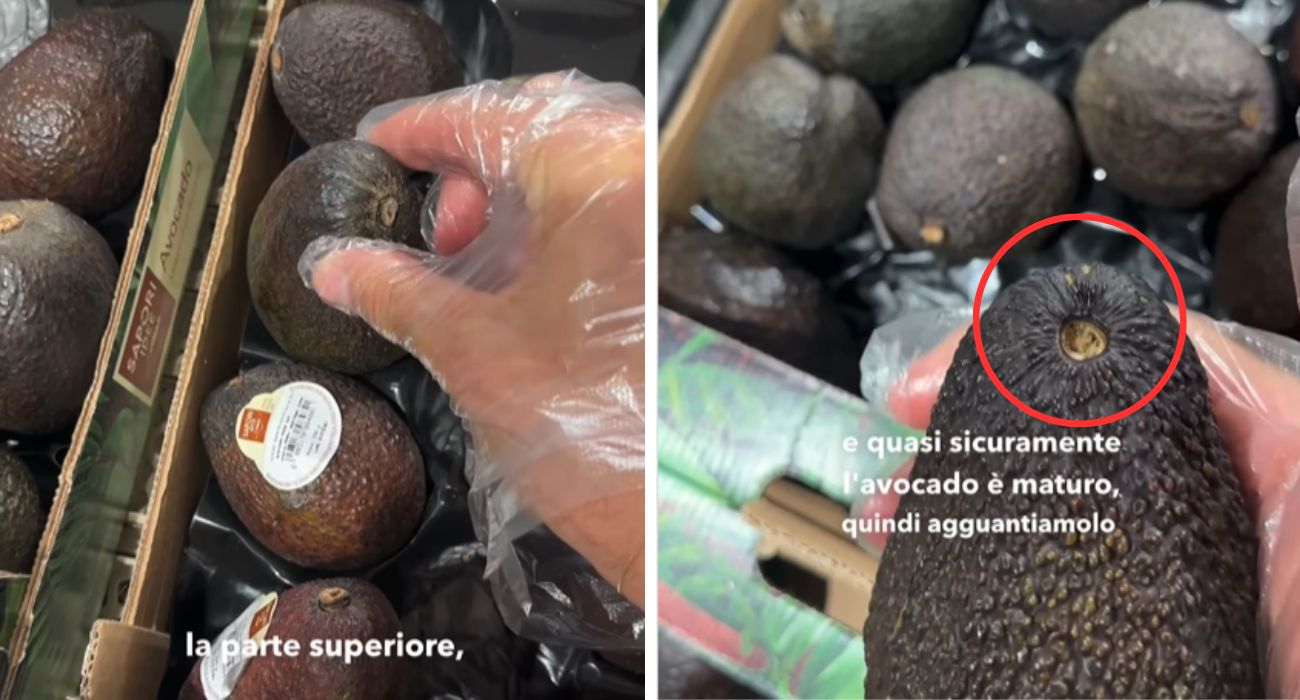 "Per capire se l'avocado è maturo, non palparlo ma fai così", influencer rivela il semplice trucchetto salvavita