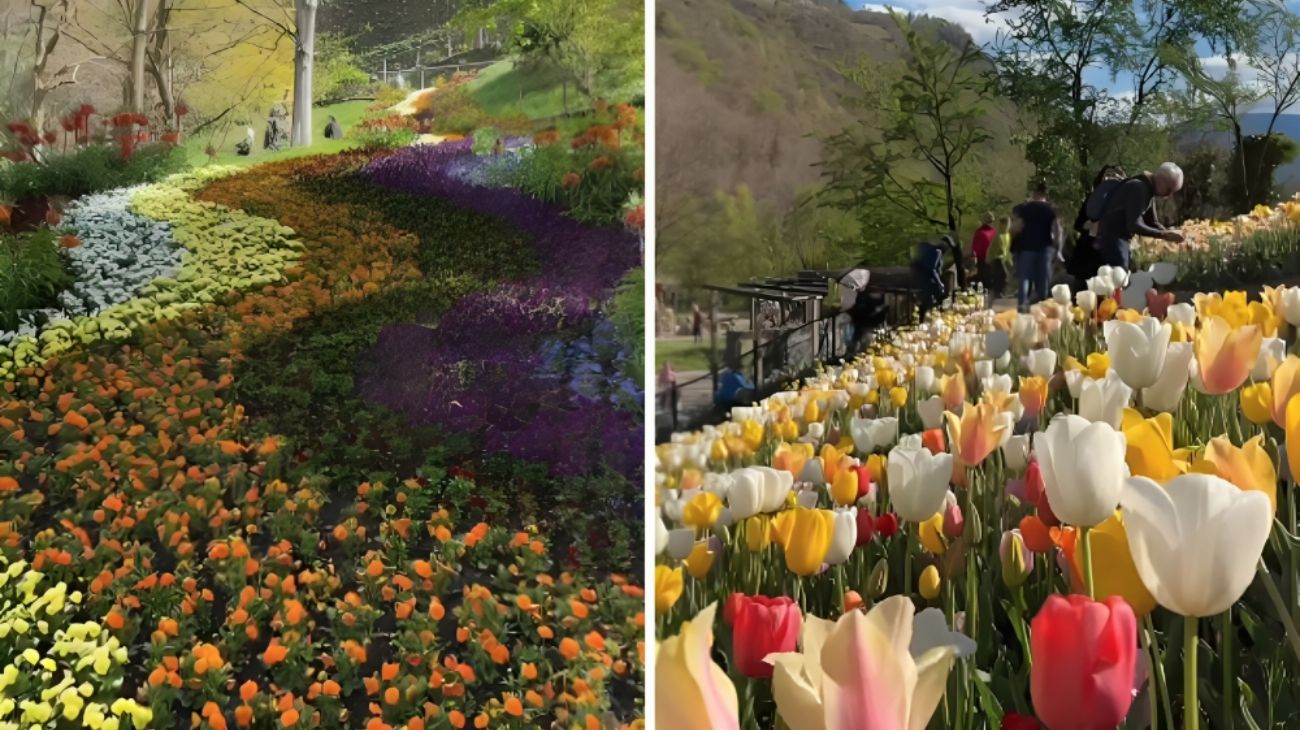 Trentino-Alto Adige giardini (1)