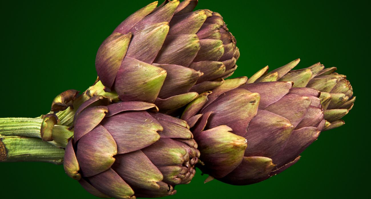 patè di carciofi ricetta