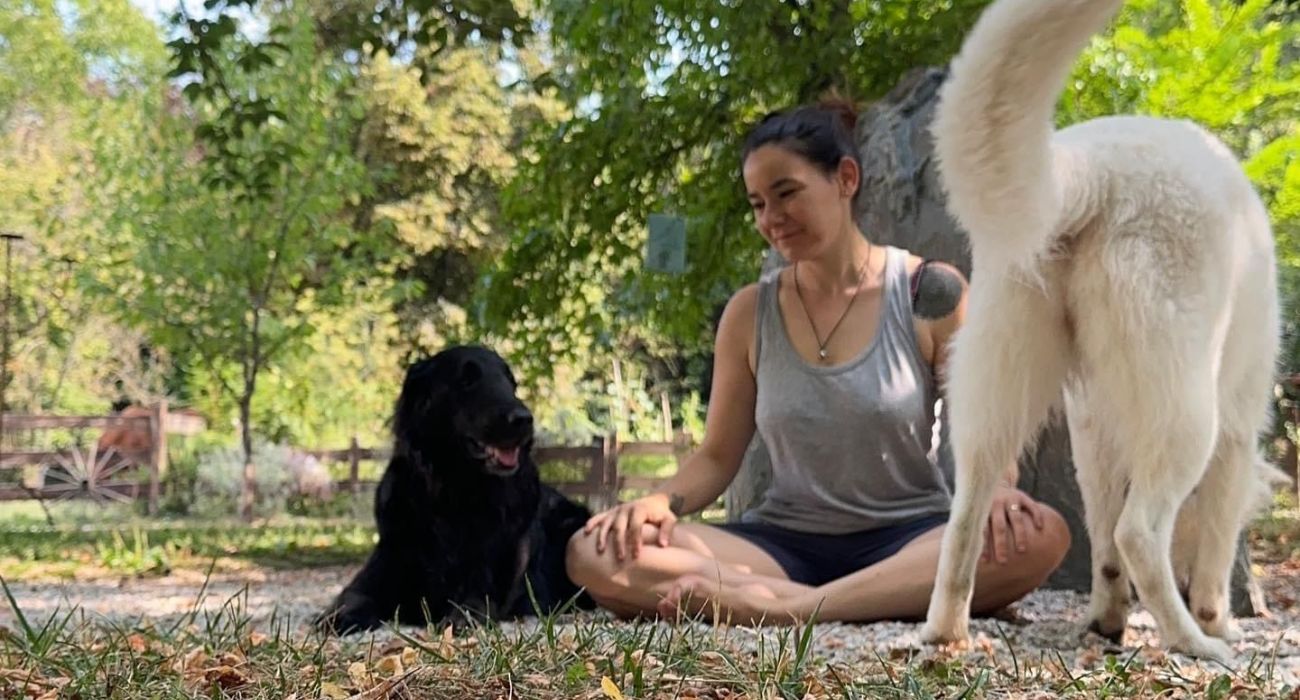 pet therapy 1