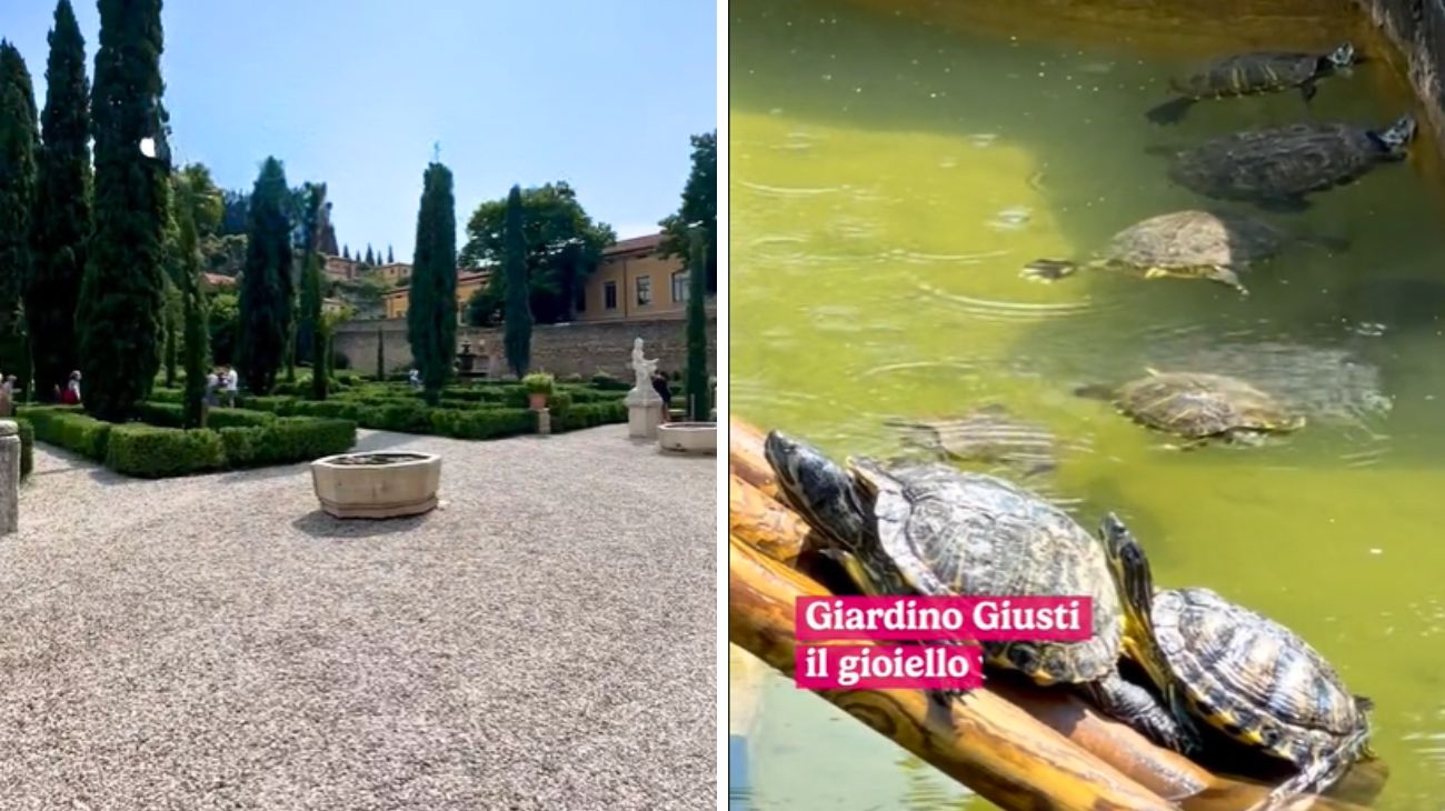 Veneto, si trova a Verona il Giardino incantato. Fonte social