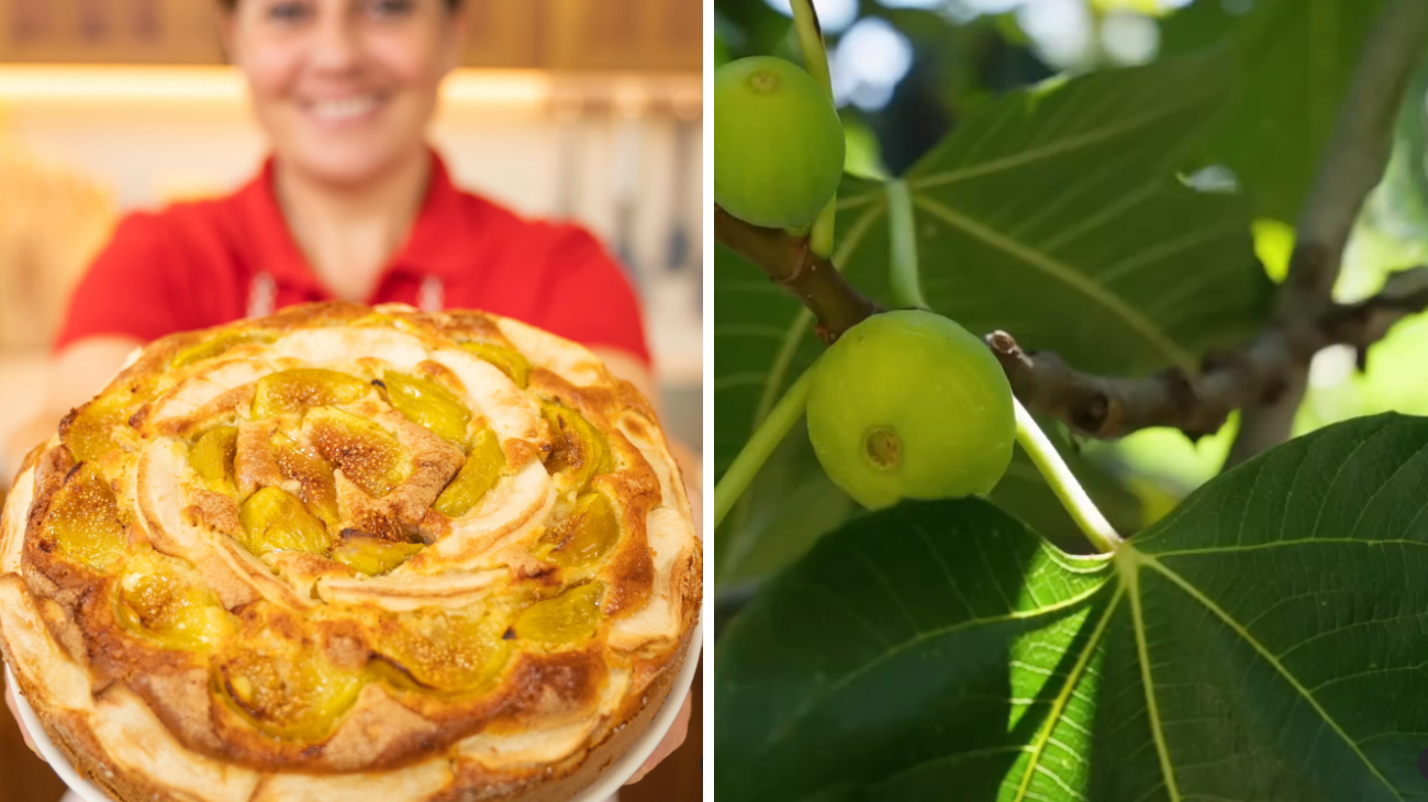 torta mele e fichi ricetta