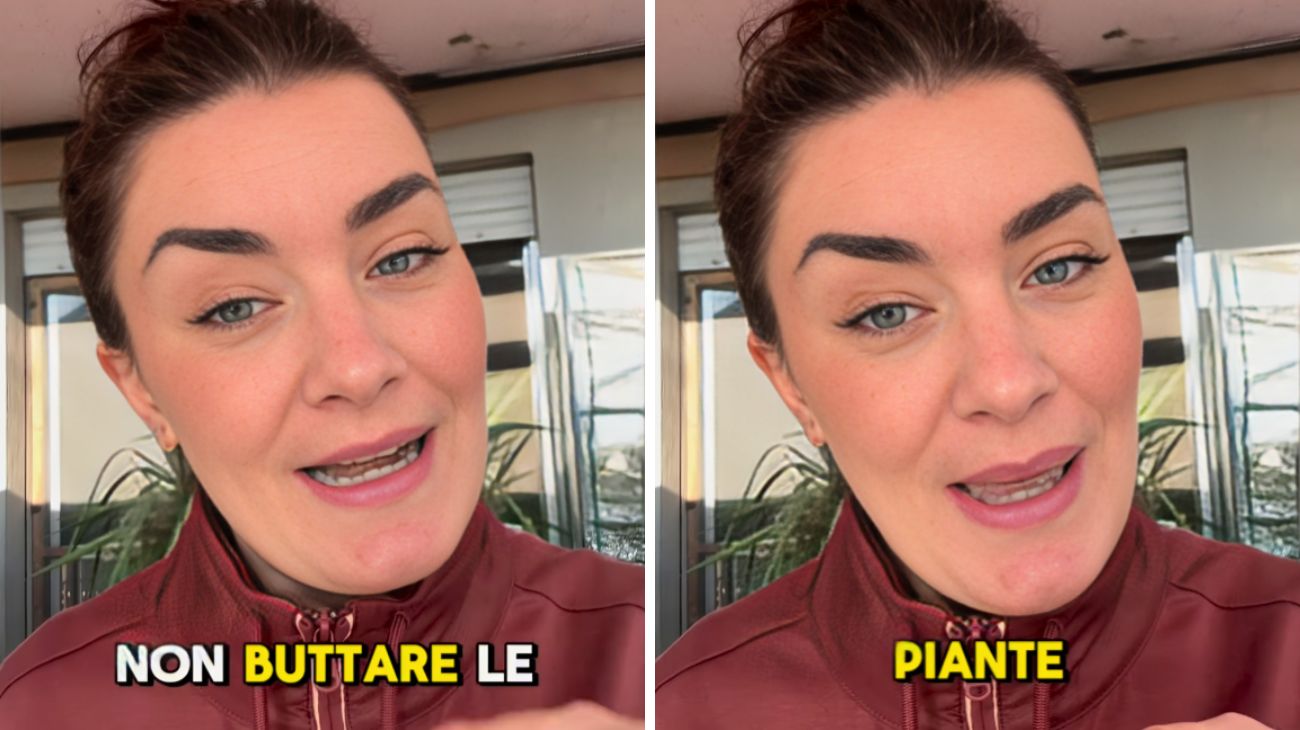 Come capire se la pianta è ancora viva