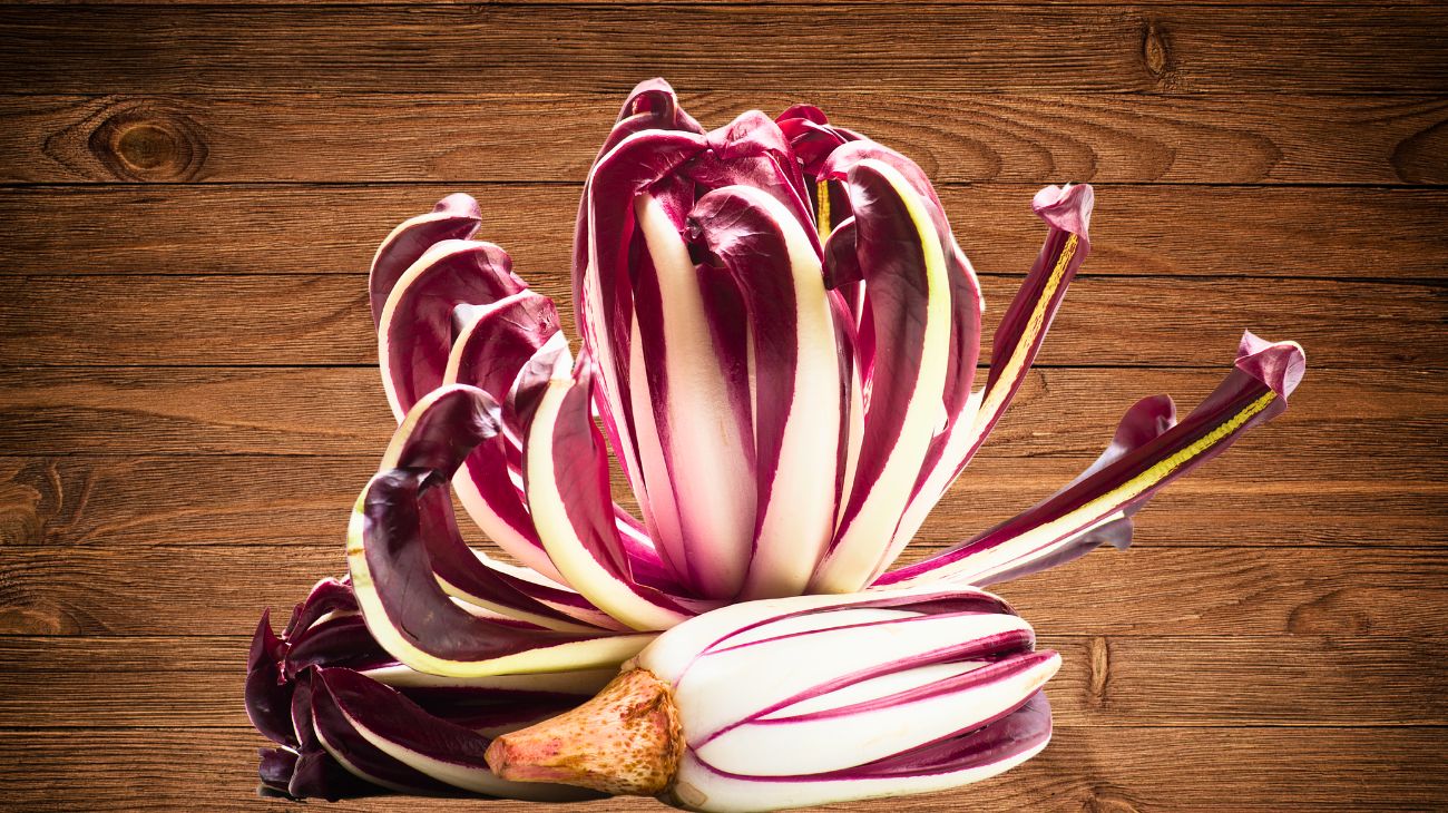 radicchio (1)
