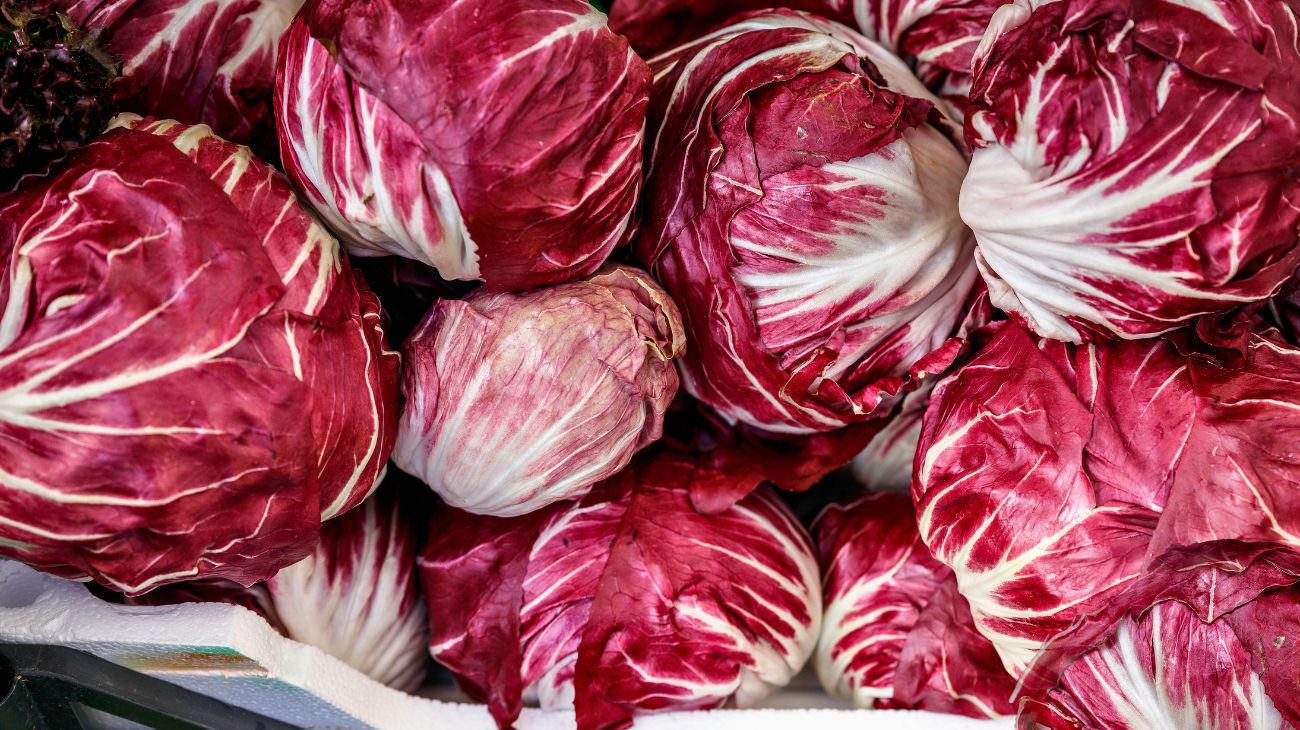 radicchio