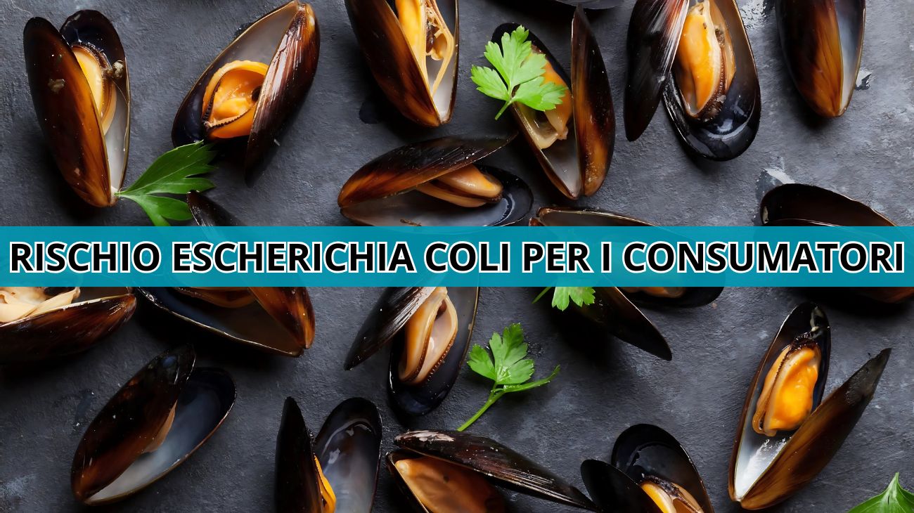 Cozze ritirate dal commercio: l'avviso del Ministero della Salute