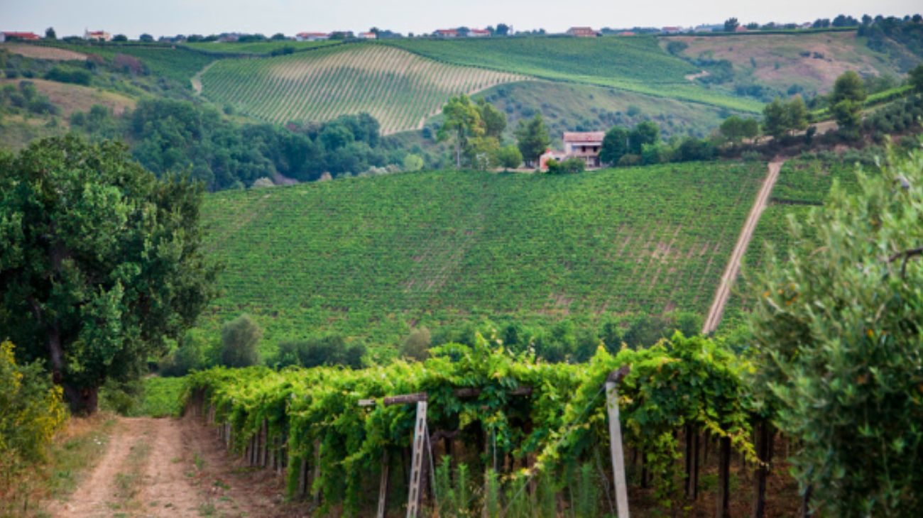 toscana mercatino di natale (1)