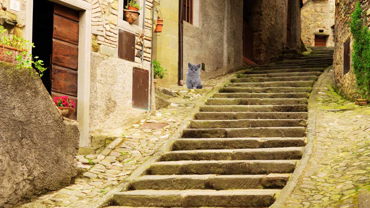Borgo toscano, vicolo