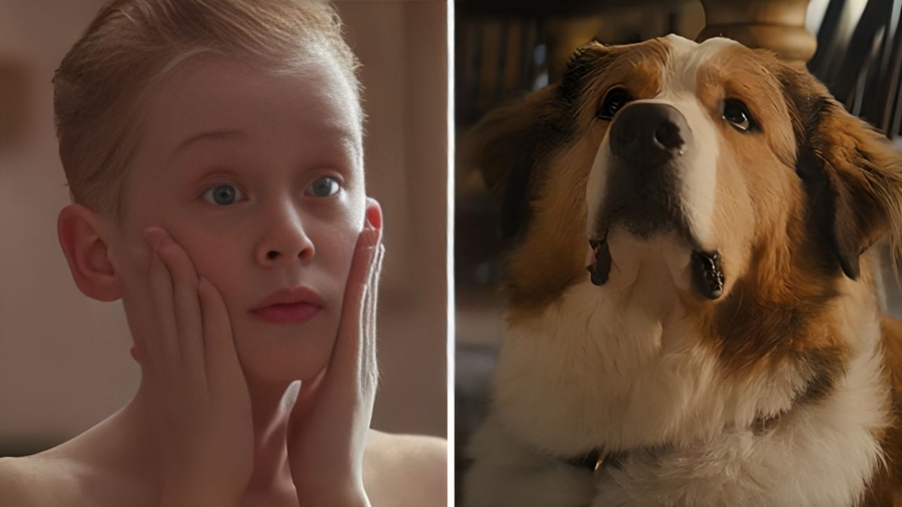 ascolti tv giovedì 2 dicembre