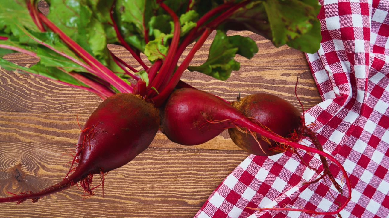 barbabietola