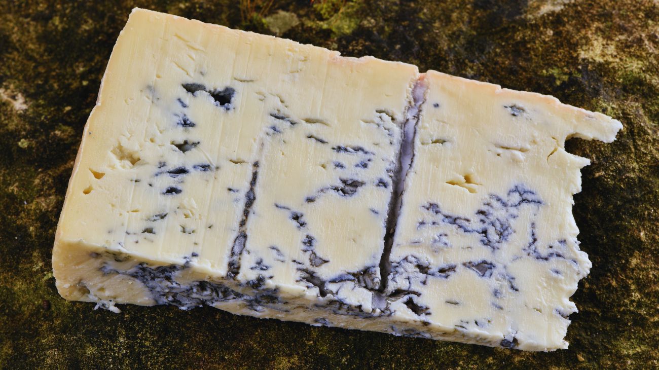 gorgonzola