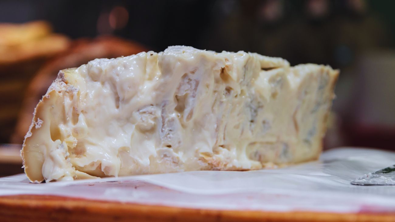 gorgonzola