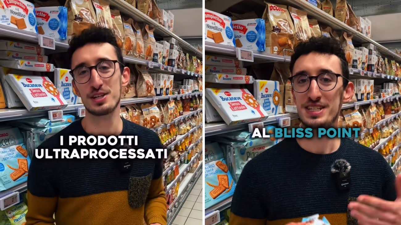 Cibi2