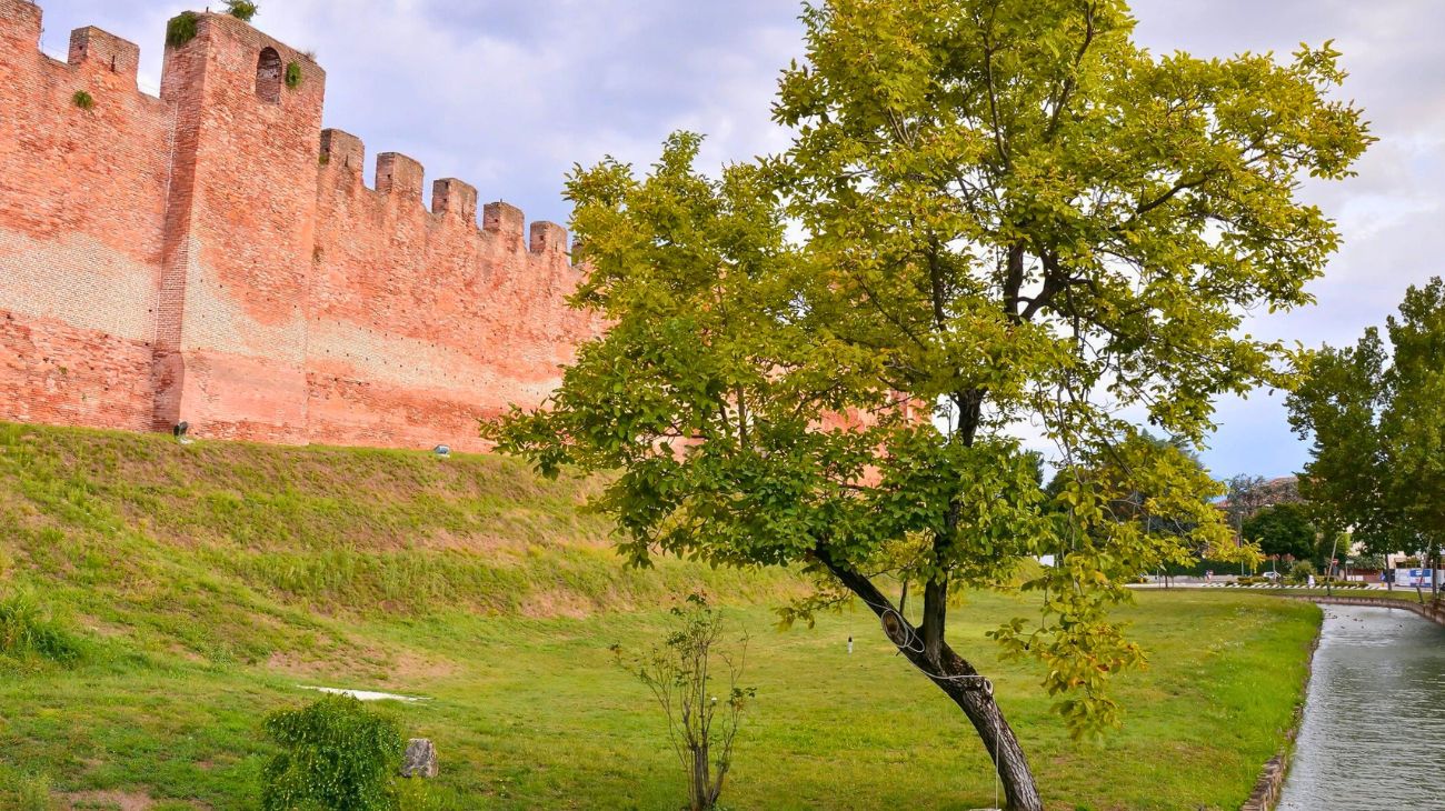 Concorso Veneto