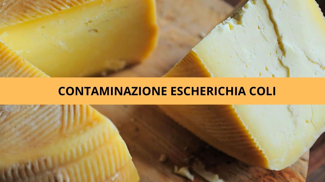 Formaggio allarme