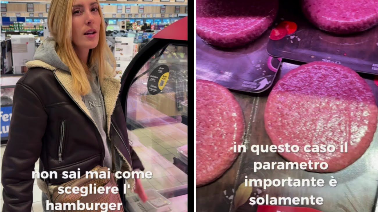Hamburger2
