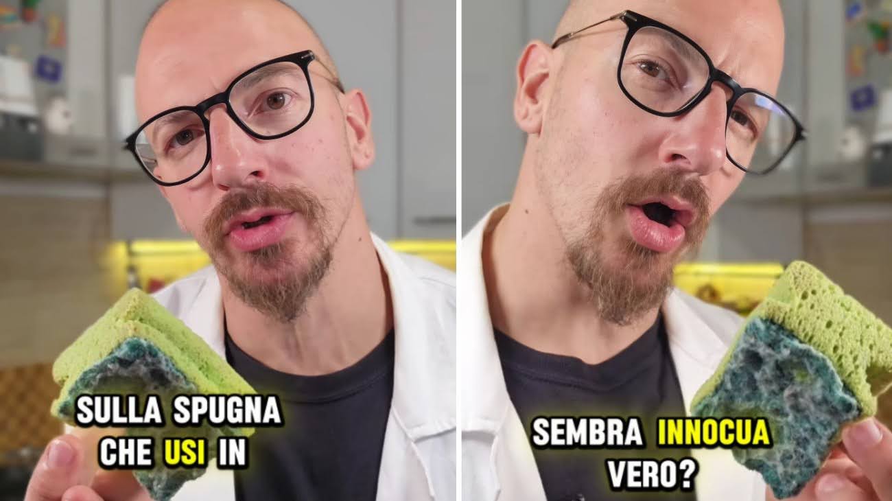 Spugna1