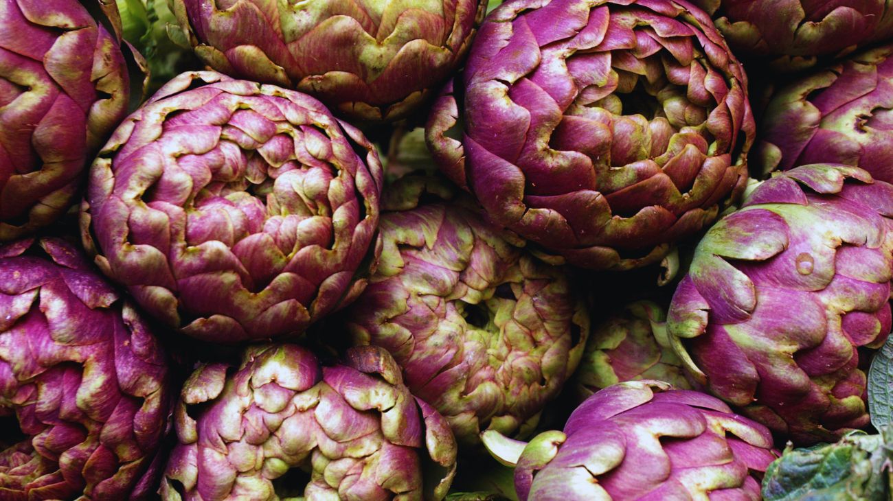 carciofi
