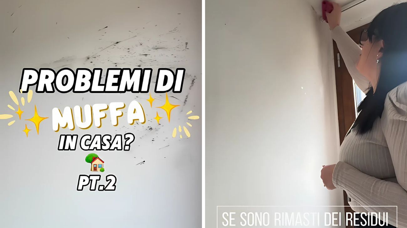 Muffa sui muri