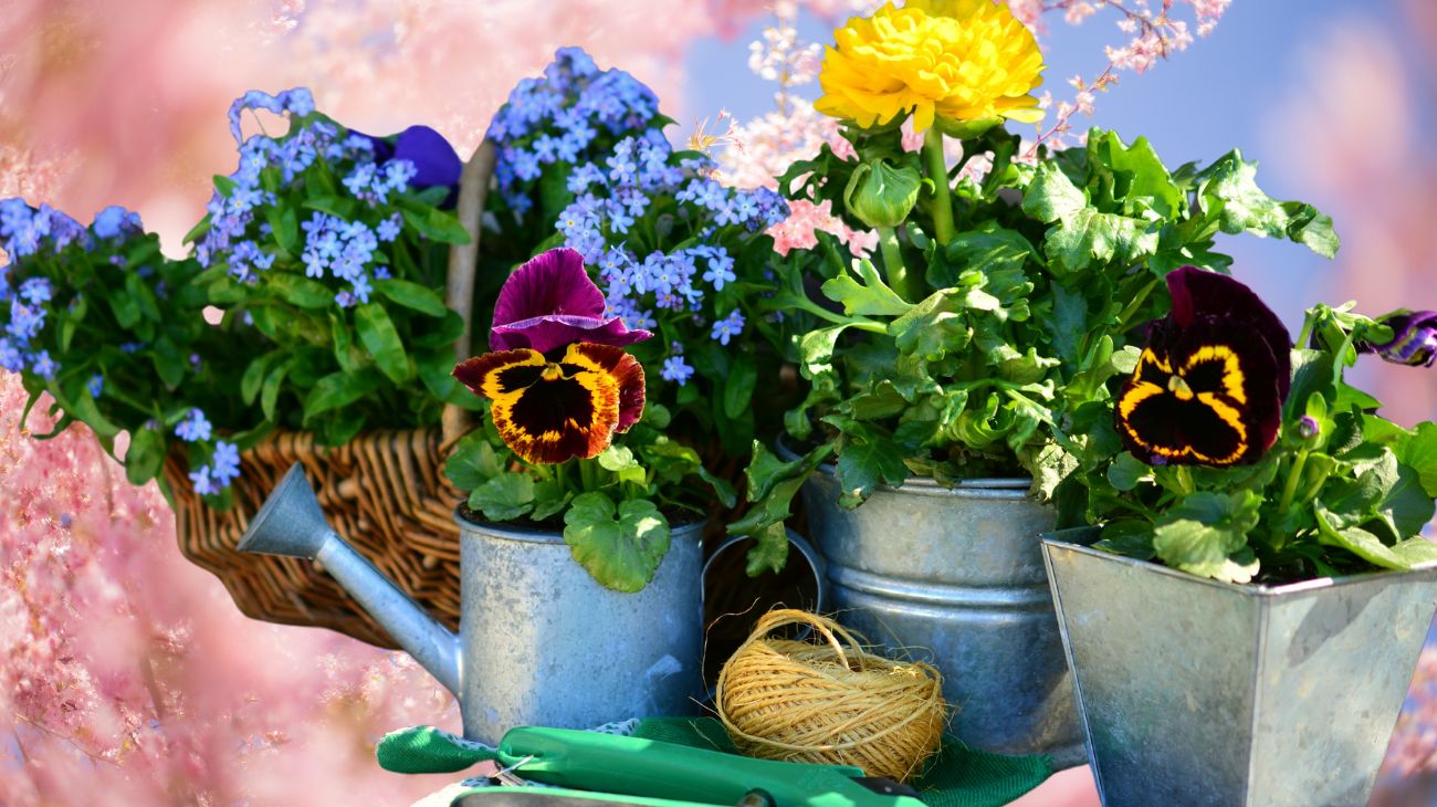 piante primavera