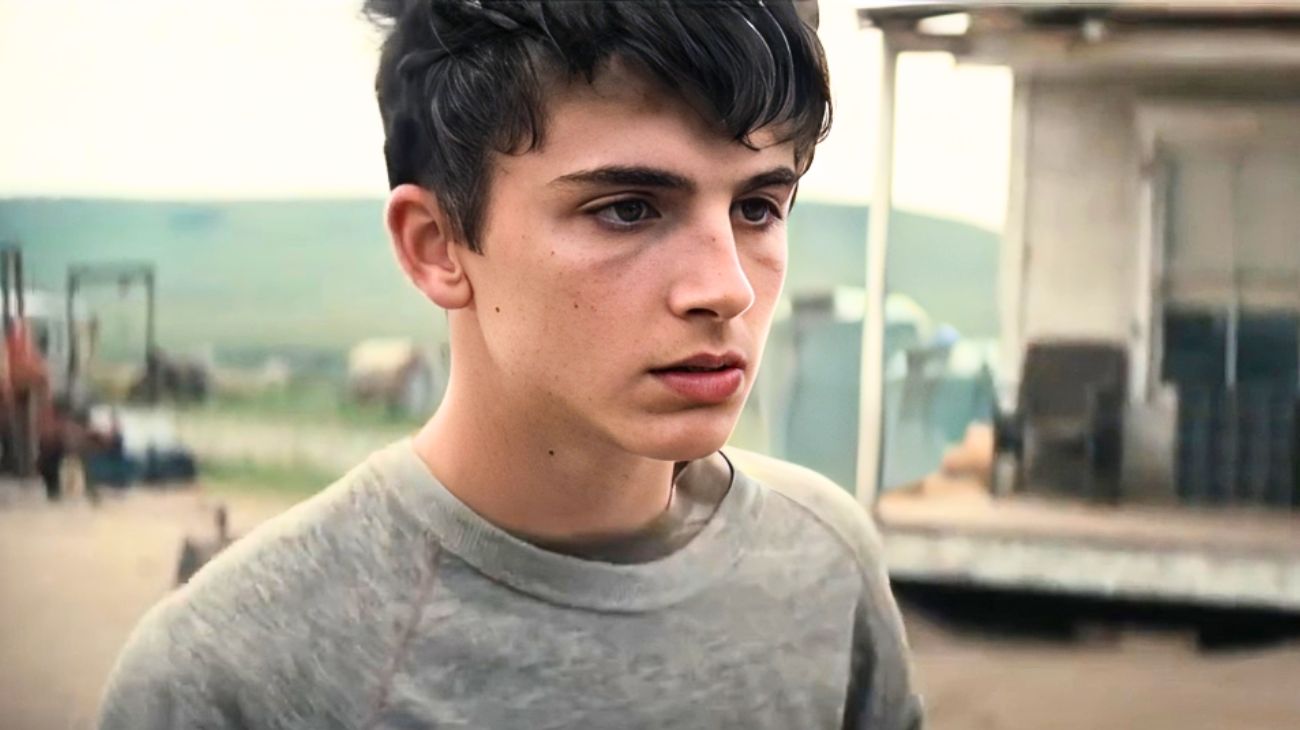stasera in tv thimothée chalamet