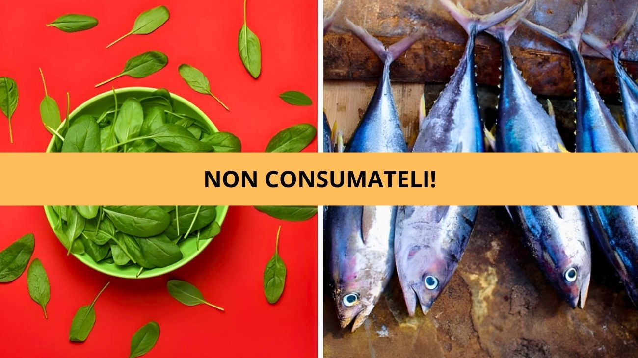 Tonno basilico confezioni ritirate