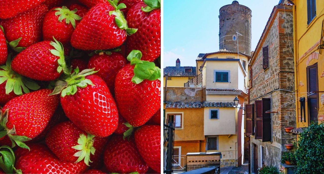 borgo delle fragole