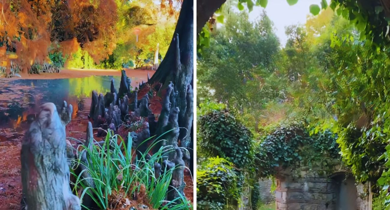 giardino