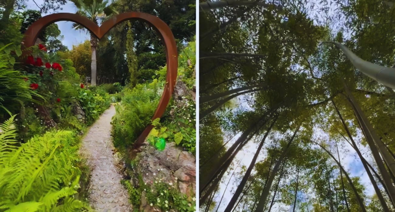 giardino botanico (1)