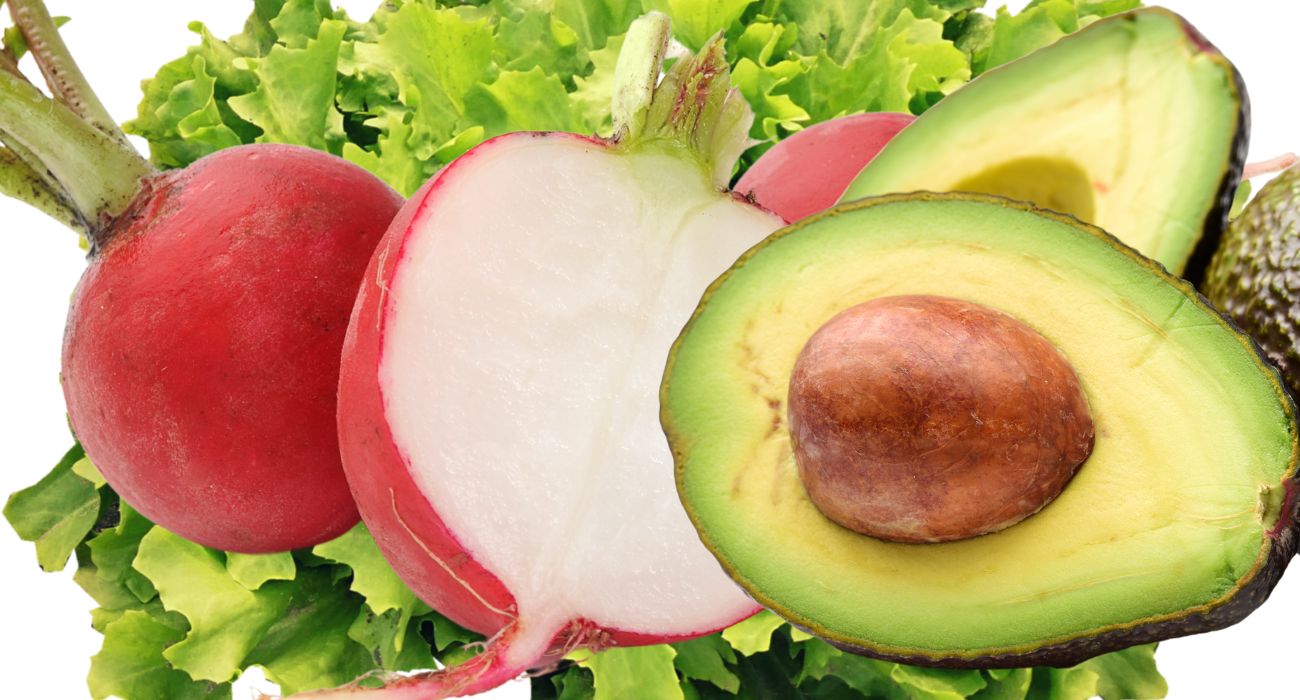 insalata ravanelli (