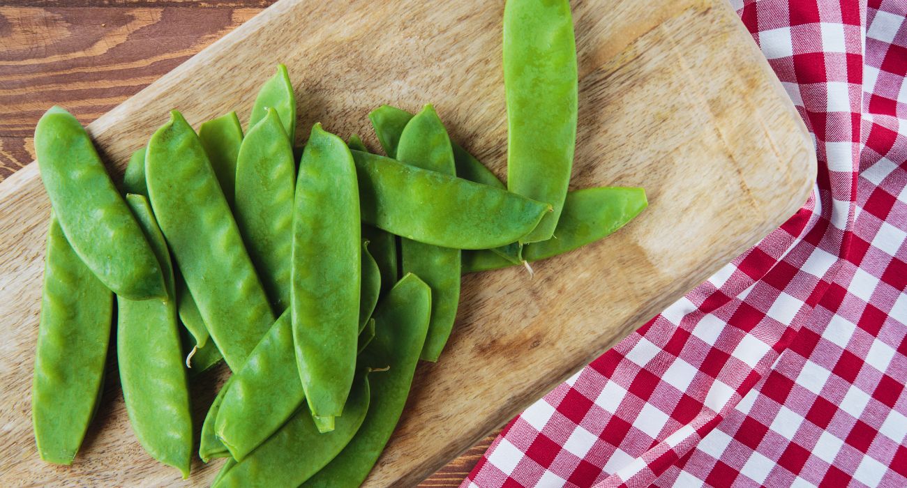 legume primavera