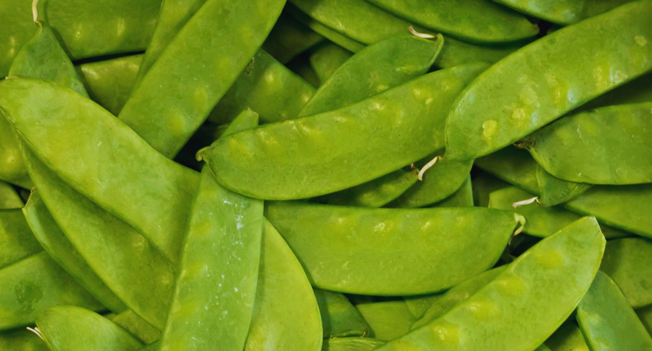 legume primavera